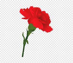 Unlike other services, this tool does not ask for your email address, offers mass conversion and allows. ì¹´ë„¤ì´ì…˜ Png ì´ë¯¸ì§€ Pngwing