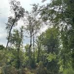 13th Annual Cedar River Clean Up