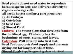 Kidzone science how do seeds grow? Chapter 9 Seed Plants Ppt Download