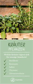 Krauter Pflanzen Sonniger Standort Wir Zeigen Euch Welche Krauter Sich Fur Helle Und Warme Standorte Eignen Mehr Informationen Zum Anbau Von Krautern Krauter Pflanzen Krauter Anpflanzen Pflanzen