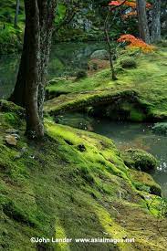 Pin On Beautiful Spaces