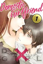 Synopsis domestic na kanojo manga. Domestic Girlfriend Vol 1 English Edition Ebook Sasuga Kei Sasuga Kei Amazon De Kindle Shop
