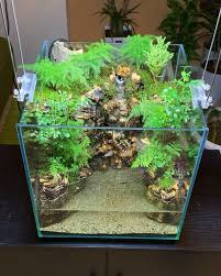 Mahmut Kirnik Tropical Fish Tanks Fish Pond Gardens Water Terrarium
