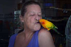 Meet the woman who fosters 60 birds in her home