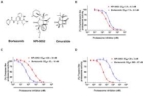 Proteins to be destroyed are recognized by proteasomes because. A Novel Orally Active Proteasome Inhibitor Induces Apoptosis In Multiple Myeloma Cells With Mechanisms Distinct From Bortezomib Cancer Cell