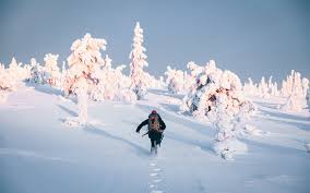 Finnland ist ein wahres winterwunderland! Winter In Finnland Mavoya Individualreisen