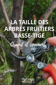Epingle Sur Verger Fruitiers Et Petits Fruits Rouges