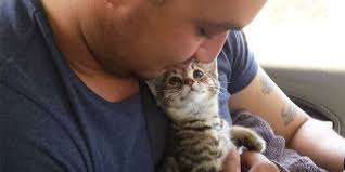 Kondisi ini bukan merupakan suatu penyakit, namun menjadi efek dari adanya penyakit atau perubahan pola makan. 8 Penyebab Kucing Tidak Mau Makan Dan Cara Cepat Mengatasinya Merdeka Com