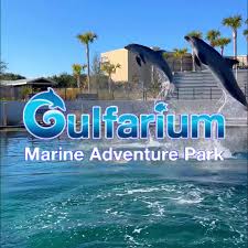 Gulfarium Marine Adventure Park dolphin show near Okaloosa Island and Destin Florida