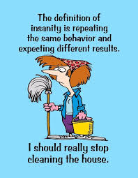 Metal Refrigerator Magnet Insanity Same Behavior Stop Cleaning House Humor Ebay Clean Funny Memes Cleaning Quotes Funny House Cleaning Humor