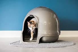 Arm & hammer large sifting litter pan. The Truth About Litter Boxes 15 Best Litter Boxes For Picky Cats The Dog People By Rover Com