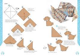 Ils sont également faciles à faire. Chiens En Origami Amazon De Robinson Nick Collectif Aoyagi Shoko Chan Jacky Corrie Edwin Fremdsprachige Bucher