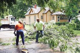 Storm downs limbs, cuts power