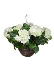 Set climbers in colorful pots and combine white flower pots of different sizes, planters with an unconventional design. Artificial 25cm Hydrangea Hanging Basket
