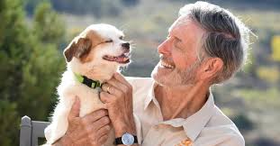 We're deeply saddened to share that Gregory Castle, co- founder and former  CEO of Best Friends Animal Society passed away last weekend. He helped  shape a future where animals are safe, loved