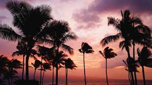 Maybe you would like to learn more about one of these? 7 Yoga Retreats Auf Maui Bookyogaretreats
