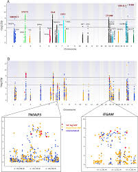 Regulatory Polymorphisms Modulate The Expression Of Hla