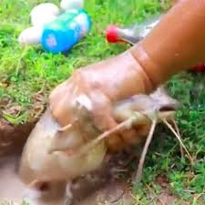 Stock futures are flat to kick off the week with. Someone Went Fishing With Coke And Mentos And We Re Speechless Sbnation Com