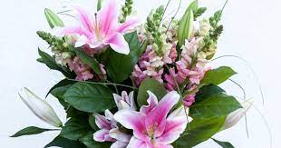 The hospital has all the items that may be required including pillows, toiletries etc, we ask that you also reconsider sending flowers, gifts and other items at this time. Are Fresh Flowers Allowed In Hospitals Bouqs Blog