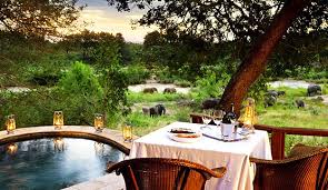 Image result for kruger national park south africa