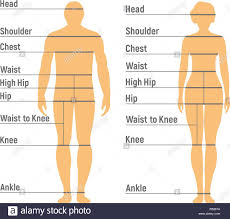 Man And Woman Size Chart Human Front Side Silhouette