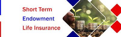 Find endowment insurance plan now. Short Term Endowment Life Insurance Capital Taiyo Life Insurance