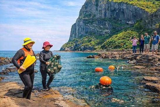 Jeju Island Eastern UNESCO site Full Day Guided Tour 2026 - BOOK NOW