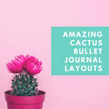 There are four core collections that form the foundational structure for your notebook. 100 Incredible Cactus Bullet Journal Spreads