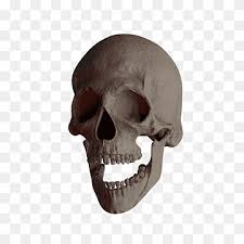 If you have one of your own you'd. Totenkopf Png Images Pngwing