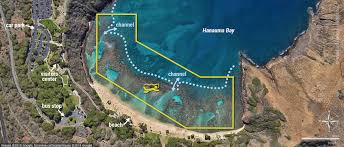 Snorkeling at hanauma bay nature preserve is closed on tuesdays to help minimize the impact on hanauma bay beach facilities. Snorkeling Hanauma Bay Oahu Hawaii