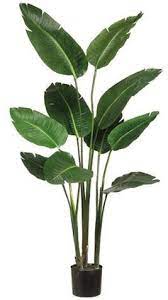 Bird Of Paradise Birds Of Paradise Plant Artificial Plants Indoor Artificial Plants And Trees