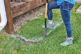 How To Create A New Flowerbed Without Digging In 3 Easy Steps Flower Beds No Till Garden How To Make A Flower Bed