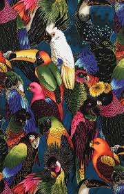 Birds Of A Feather 2020 Episodes Pin On Cute Little Birds