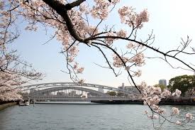 「桜ノ宮公園」の画像検索結果