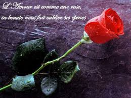 L Amour C Est La Vie Home Facebook