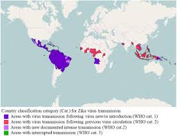 62 symptomatic zika virus disease cases reported* Frontiers Zika Virus What Have We Learnt Since The Start Of The Recent Epidemic Microbiology