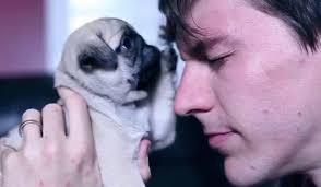 AliceGamer (@Alice1derland_)