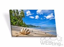 6,176 likes · 44 talking about this. Leinwandbilder Keilrahmenbilder Keilrahmen Bilder Strand Leinwand Kunstdrucke Meineaufkleber24 De