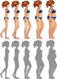 A woman's body type is a measure of three main body parts of a woman. A Set Of Woman Side Body And Stock Vector Colourbox