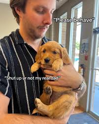 ❤️Paws Only 🐾 I love Dogs . Doɢ dogloveʀ Pᴀw pᴇᴛ . . . . . . . . . . . . .  . . . . . . . #cutepets #goldenretrieversofinstagram #puppies #goldenpuppy  #cutest_goldens #doggos #doglove #gloriusgoldens #dogsofinstagram  #funnydogs #dog ...