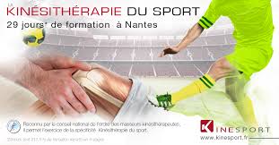 La vie de l'ordre (a travers les publications et les archives) la vie de l'ordre national des médecins, de 1958 à ce les sources d'informations dont nous avons disposé sont : Formation En Kinesitherapie Du Sport Expert A Nantes Agenda Formation Kine