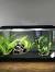 Star Wars Fish Tank Themes