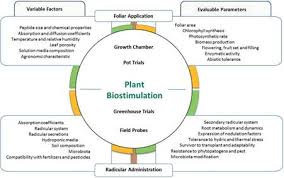 Maybe you would like to learn more about one of these? Strategies For Production Characterization And Application Of Protein Based Biostimulants In Agriculture A Review