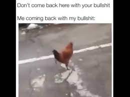 A truly devastating blow to my. Don T Come Back Here With Your Bullshit Youtube