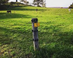 Pin On Aktuelle Zaunbau Projekte