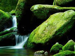 Cool Nature Wallpapers And Hd Backgrounds Free Download On Picgaga