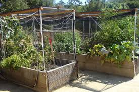 Landscape Design In The Desert Southwest Garden Layout Garden Layout Vegetable Backyard Landscaping Designs