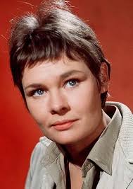judi dench
