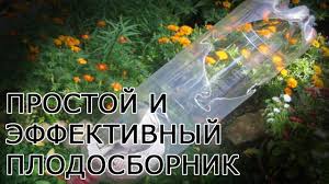 как сделать комбайн для сбора черники из пластиковой бутылки Prostoj I Effektivnyj Plodosbornik Svoimi Rukami Youtube