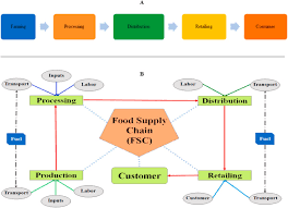 It was first identified in december 2019 in wuhan,. Improvement Strategies Of Food Supply Chain Through Novel Food Processing Technologies During Covid 19 Pandemic Sciencedirect